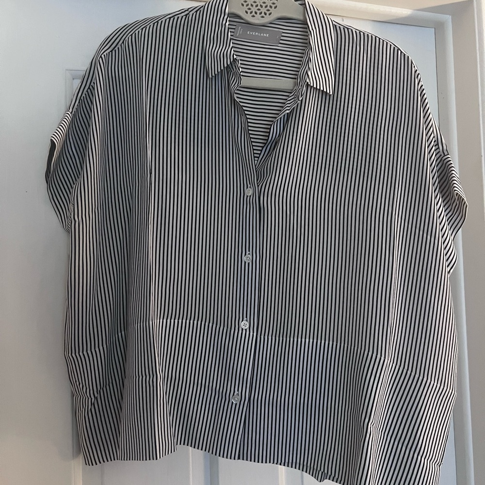 Everlane Boxy Silk Shirt